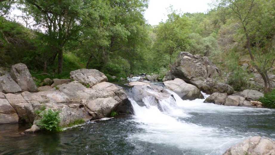 https://public.descubrelavera.com/jaraiz-de-la-vera/piscinas-naturales-jaraiz-de-la-vera-2.jpg