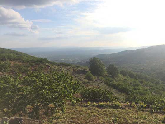 https://public.descubrelavera.com/posts/arroyomolinos-de-la-vera/ruta-desespera-arroyomolinos-de-la-vera-1.jpg
