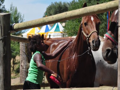 https://public.descubrelavera.com/posts/garguera_de_la_vera/actividades_caballos_garguera_de_la_vera_1.jpg