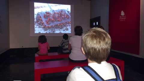 https://public.descubrelavera.com/posts/jaraiz-de-la-vera/museos-jaraiz-de-la-vera-2.jpg