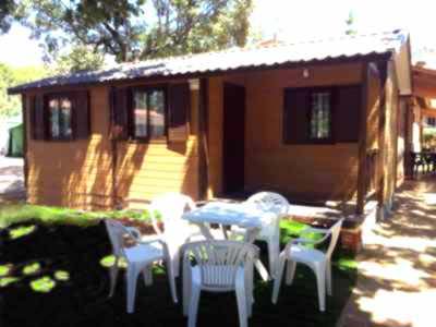 https://public.descubrelavera.com/posts/jarandilla-de-la-vera/camping-jaranda-jarandilla-de-la-vera-4.jpg