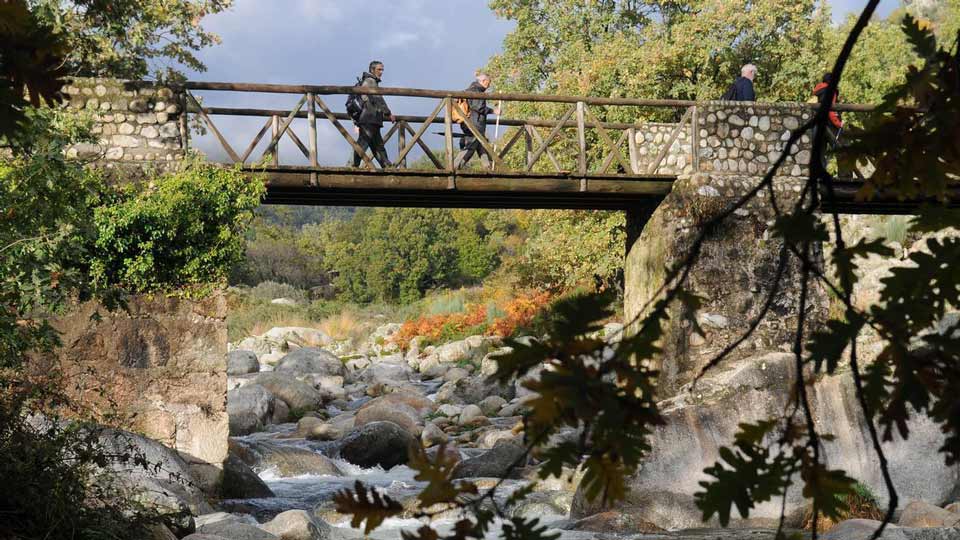https://public.descubrelavera.com/posts/jarandilla-de-la-vera/ruta-carlosv-jarandilla-de-la-vera-2.jpg