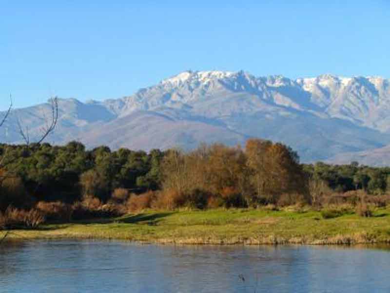 https://public.descubrelavera.com/posts/torremenga/torremenga-heras-1.jpg