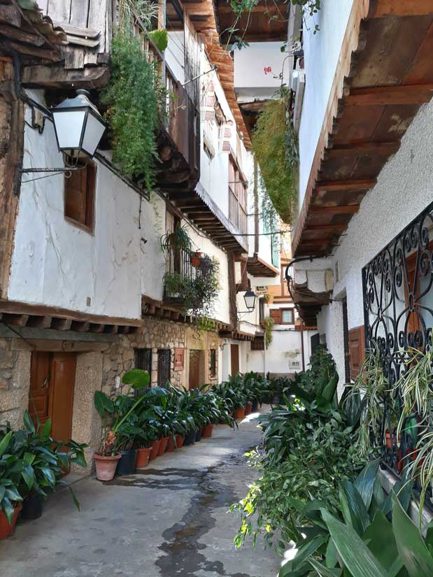 https://public.descubrelavera.com/posts/villanueva-de-la-vera/casco-historico-villanueva-de-la-vera-1.jpg